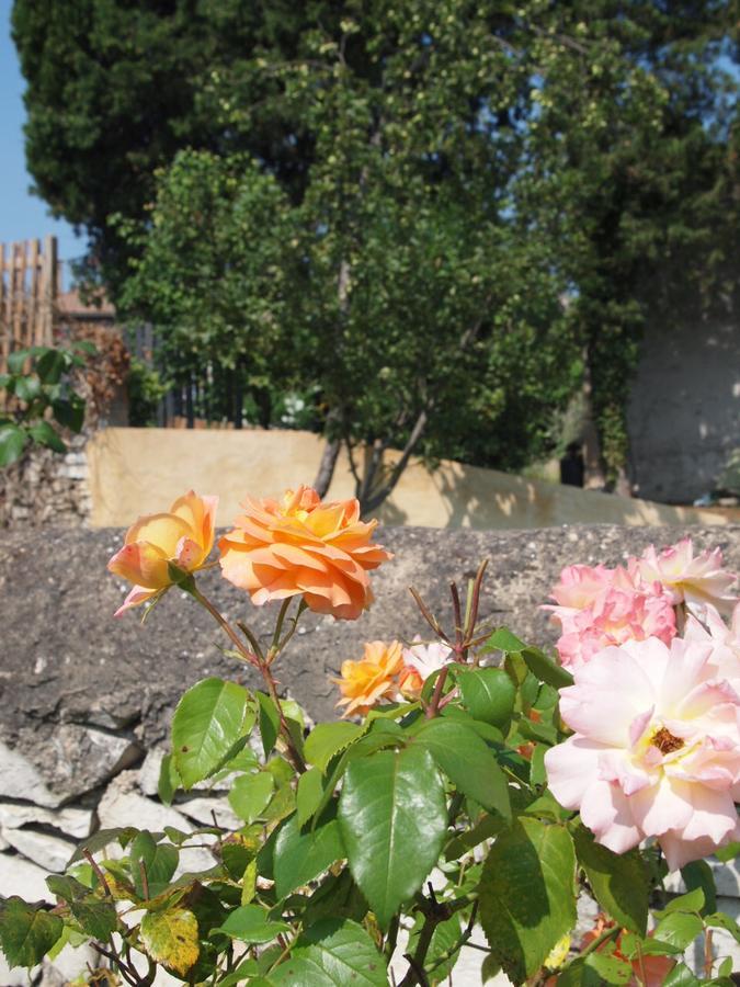 Apres La Sieste Saint-Laurent-des-Arbres Eksteriør bilde